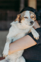 /album/261/whatsapp-image-2026-03-11-at-21-02-02-jpeg/